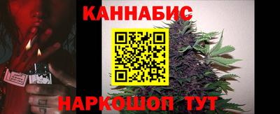 стафф Камышлов