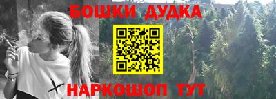 стафф Камышлов