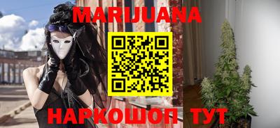 стафф Камышлов