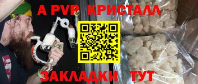 стафф Камышлов