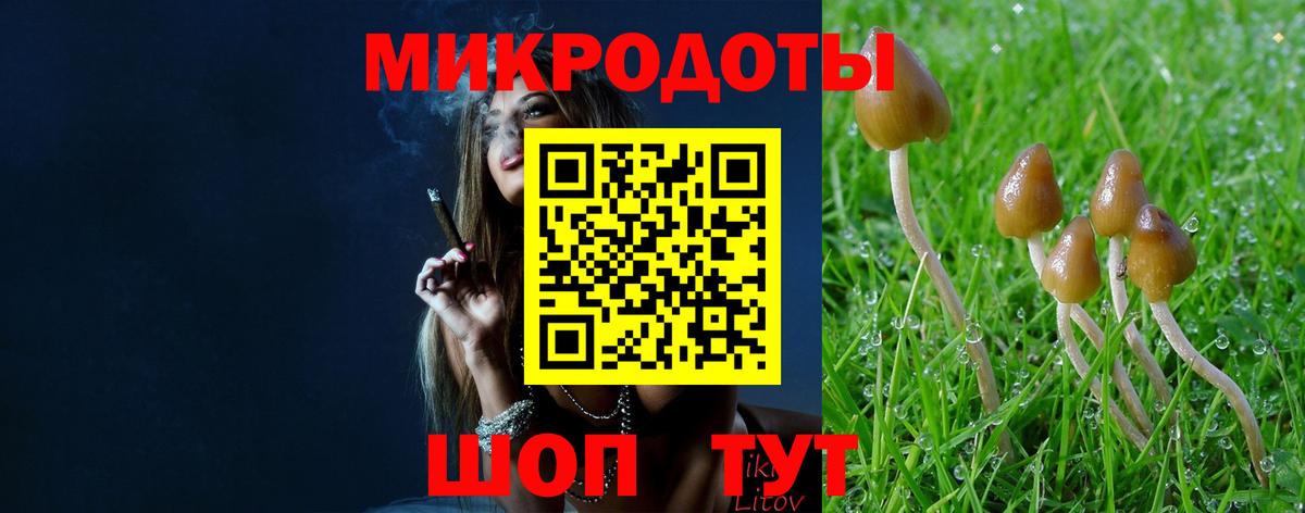 Галлюциногенные грибы прущие грибы  Вход с VPN  Глазов  Псилоцибиновые грибы Psilocybe 